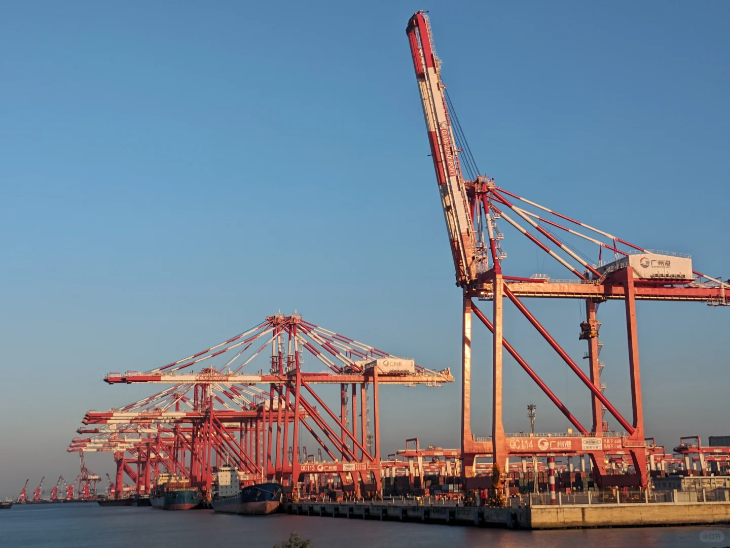 若何理解海运中的“甩柜”？