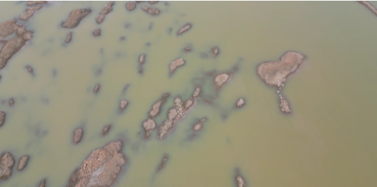 首页 | J9集团有限公司官网